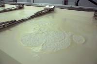 Fabrication du fromage - Caillé après action de la présure et de la température